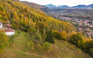 In arena Parcului Natural Piatra Craiului, Magura, Moieciu, Brasov - Poză 5