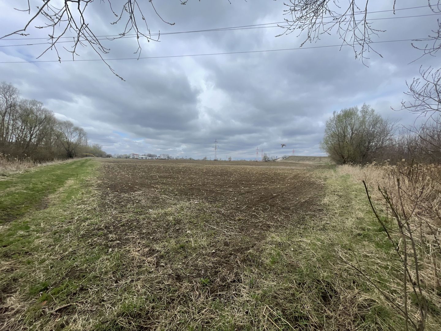 TEREN INTRAVILAN | 50 ARI | ZONA PERIFERICA RADAUTI - Poză 8