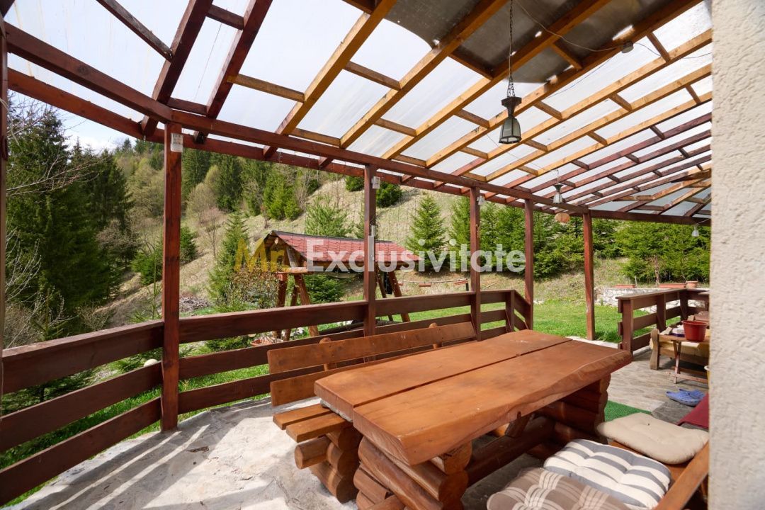 Casa Dambovicioara - CASA de vacanta sau PENSIUNE profitabila - Poză 3