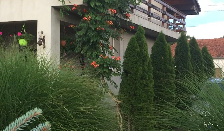 Proprietate cu potențial rezidențial și comercial | Comuna Pesac - Poză 9