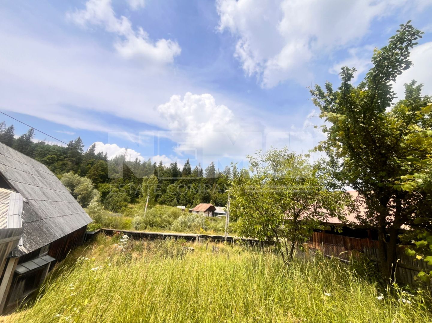 Casa Batraneasca cu 74 Ari Teren I Suceava/Sasca Mare I 60.000E - Poză 2