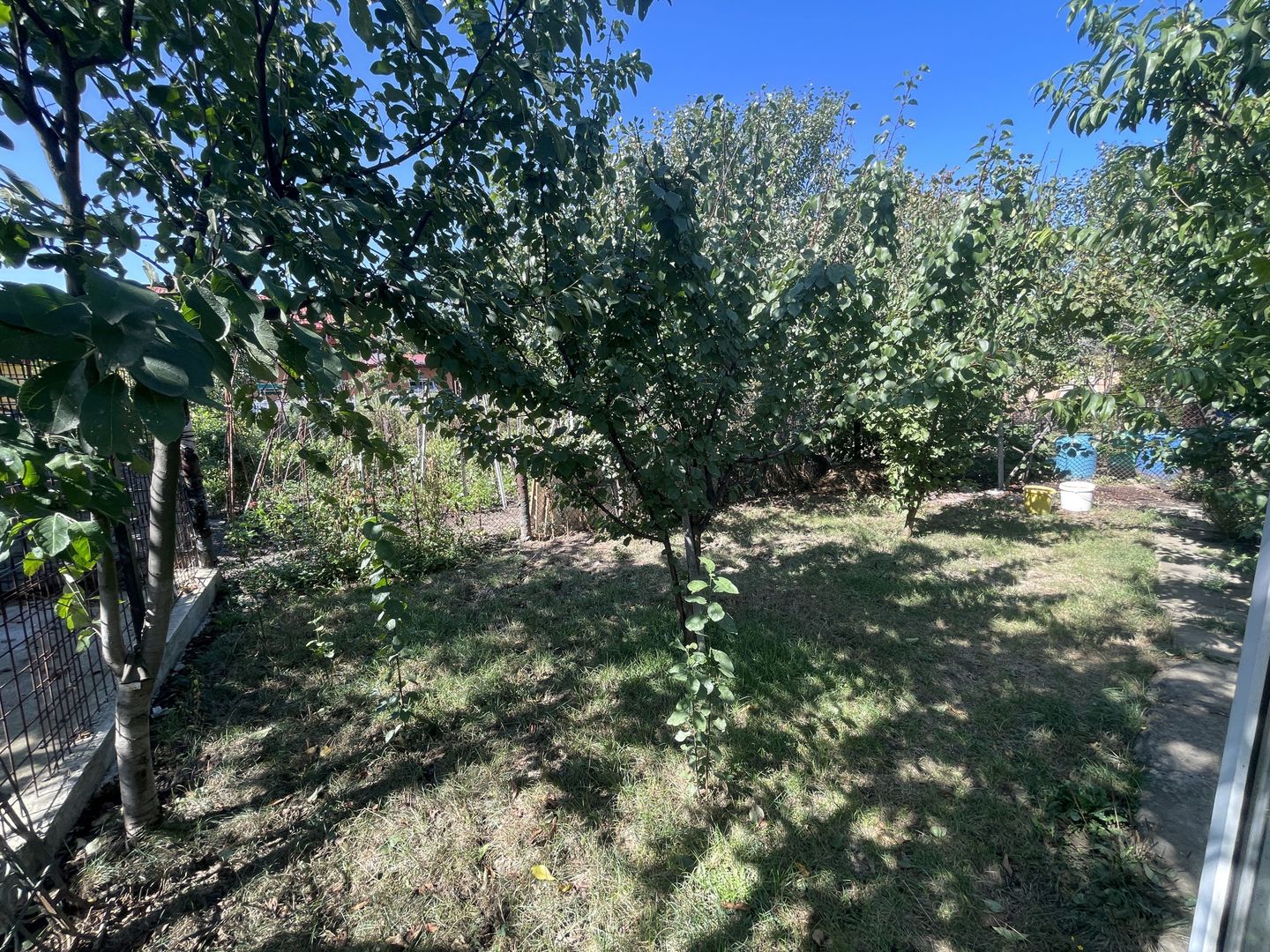 Casa cu teren 1000 mp și front 26 ml în zona Bogdanesti - Poză 5