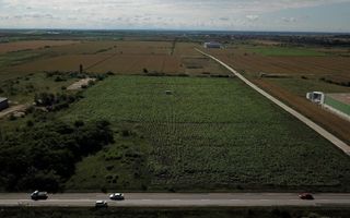 Teren ind 4.271 zona HAMILTON-HELLA_Giarmata - Poză 6