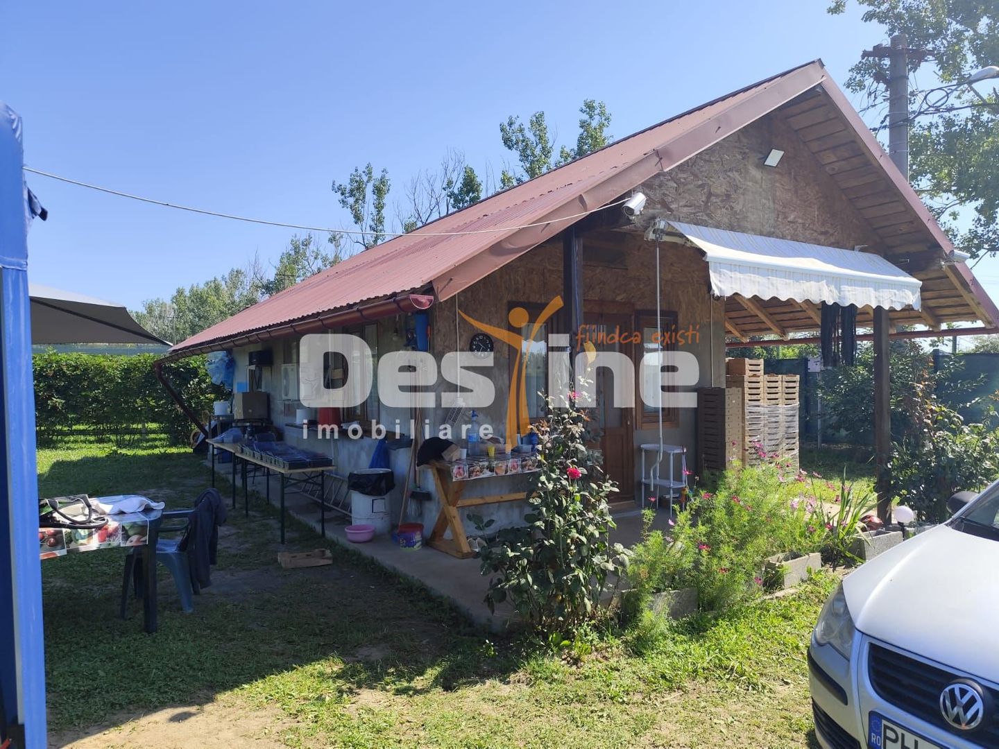 Plantatie de Muri Baicoi 10.000 mp Afacere la cheie! - Poză 10