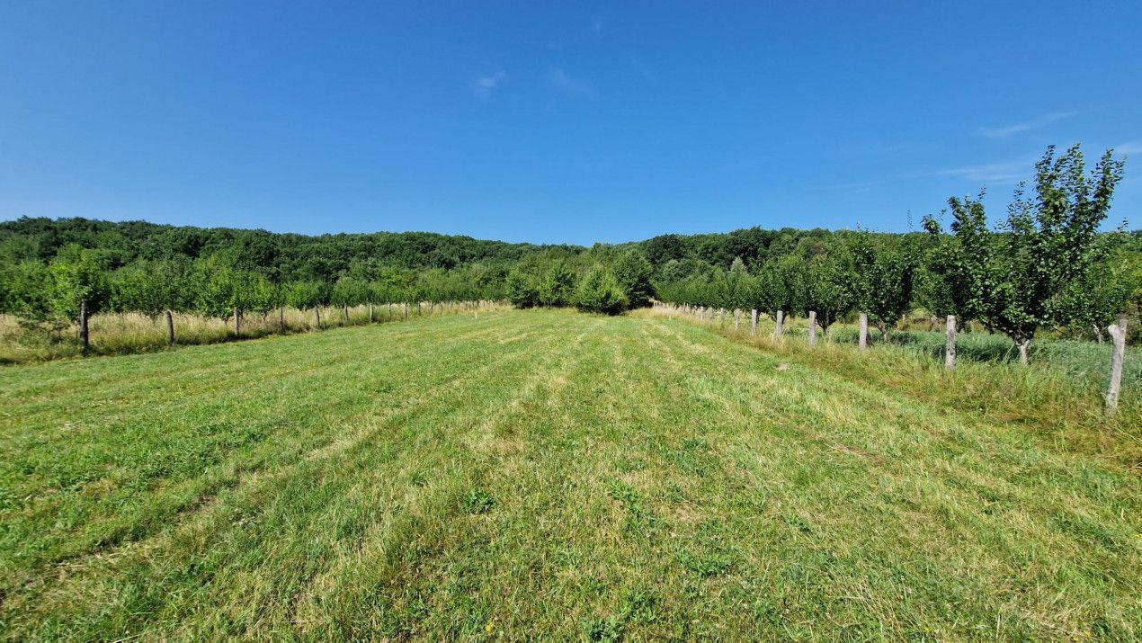 Vanzare teren intravilan, Smeura de Sus - Poză 3