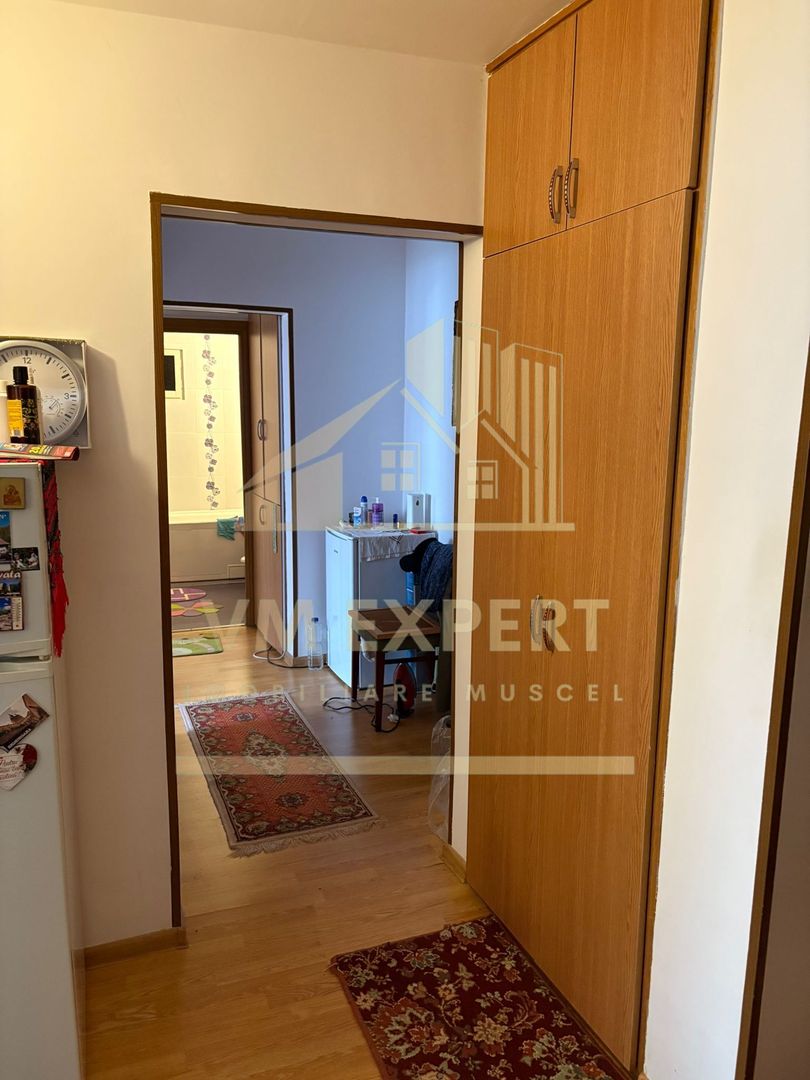 APARTAMENT 3 CAMERE ETAJ 4 VIȘOI CAMPULUNG - Poză 10