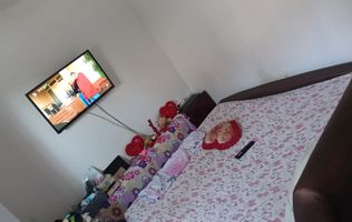 Casa cu curte proprie/ metrou Brancoveanu/Parc Tineretului