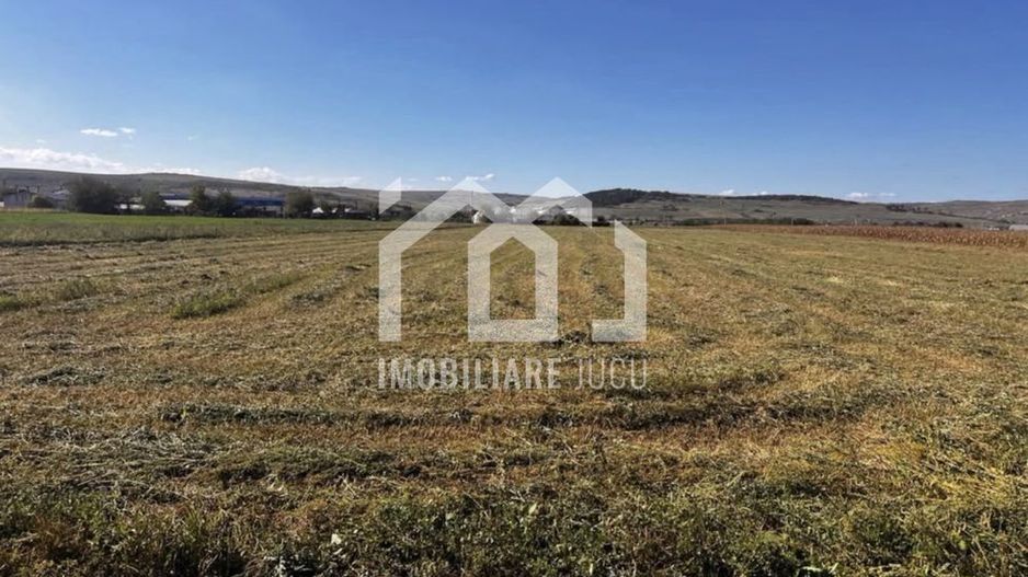 Teren intravilan – 5.800 mp | Jucu de Mijloc - Poză 2