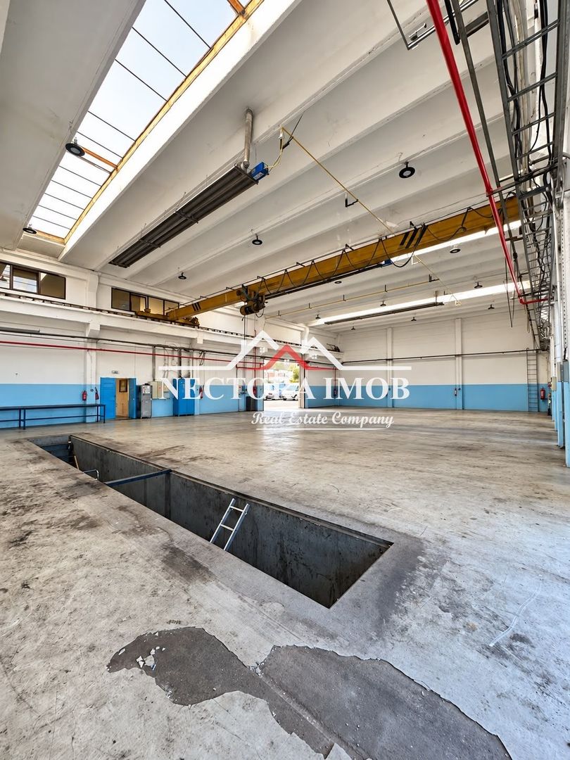 NECTORA IMOB-SpatiI industriale cu incalzire pe gaz,Acces TIR,Uzinelor - Poză 12