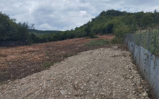 Teren 1200 mp-pretabil casa si gradina-Viisoara - Poză 1