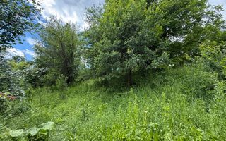 Teren intravilan 1859 mp Plaiu Provita de Sus la asfalt ! - Poză 8