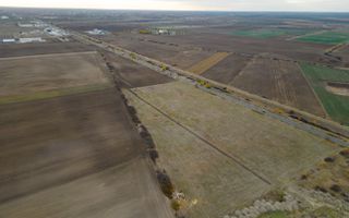 Teren 22.500 mp – Pecica, jud. Arad - Poză 2