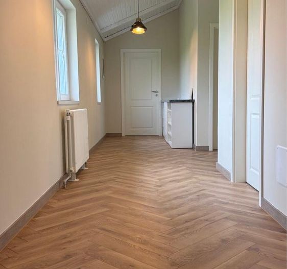 4 bedroom house | Ghermanesti | Forest - Poză 7