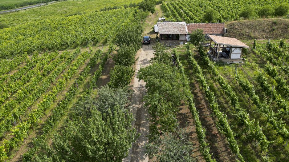 Vie Tradițională „Halta Lupilor” - Poză 44