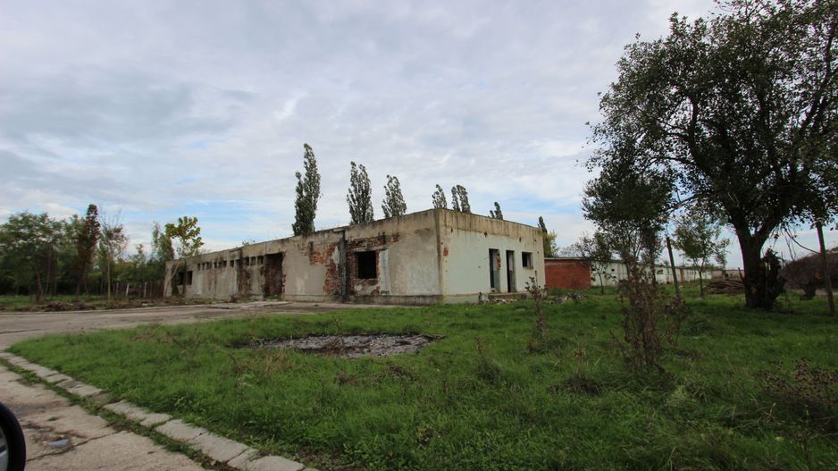 Vanzare hale Mosnita Noua-fosta Ferma 7 - Poză 33