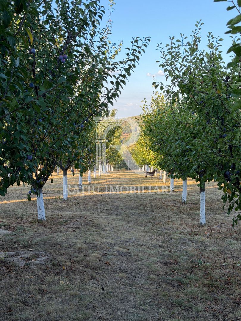 Proprietate premium | Casă și complex turistic la cheie | Cordău - Poză 46