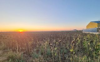 Teren extravilan lângă I&M Polux, pe drumul spre Limanu - Poză 3