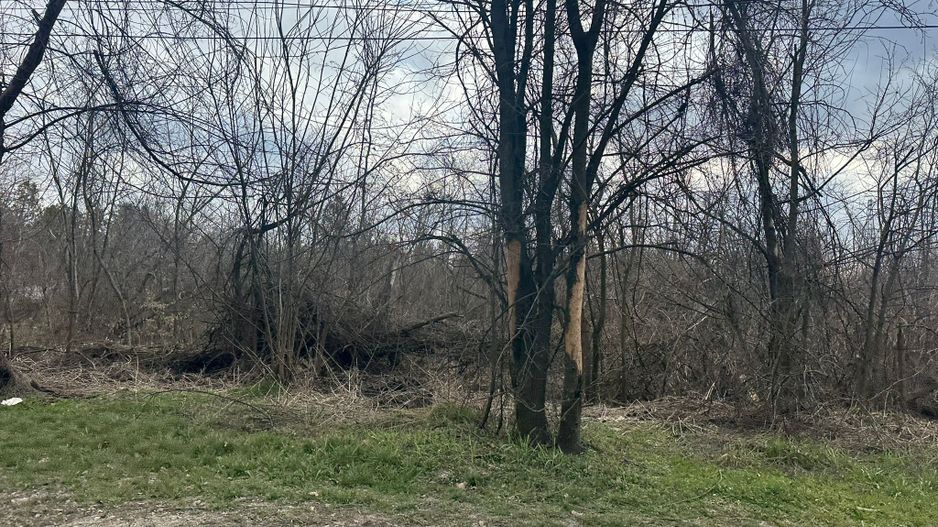 Teren intravilan cu PUZ aprobat 33.683 mp – Săftica/Balotești – deschidere DN1 - Poză 8