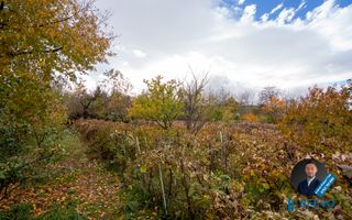 Casa de vânzare, strada Paun Pincio nr. 5, Moinești - Poză 42