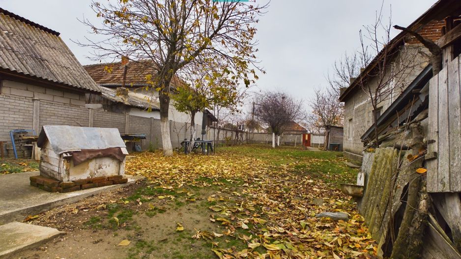 Casa cu 4 camere in Cicir - Poză 13