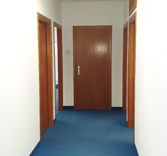 Spatiu birouri- Ion Mihalache- Ciuperca-Expozitiei - Poză 6