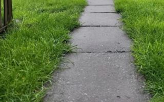 Oportunitate Unică | Două Case + Teren 902 mp | Calea Bogdăneștilor - Poză 9
