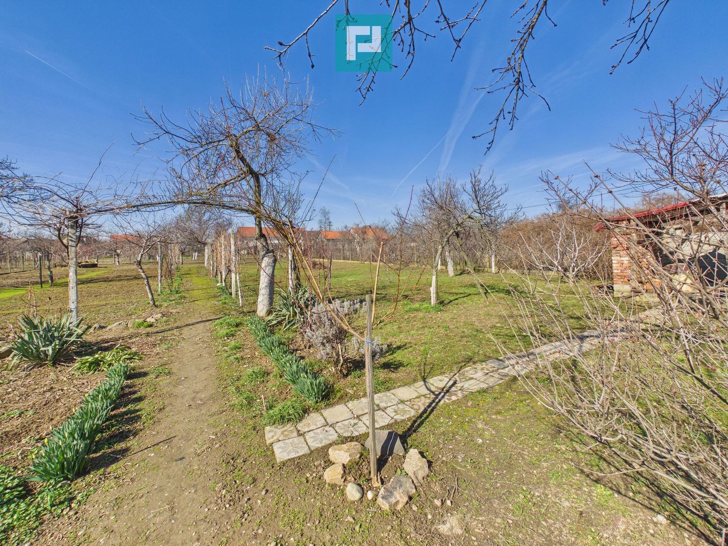 Casă cu 6 camere pe teren de 2029 mp – Miniş - Poză 23