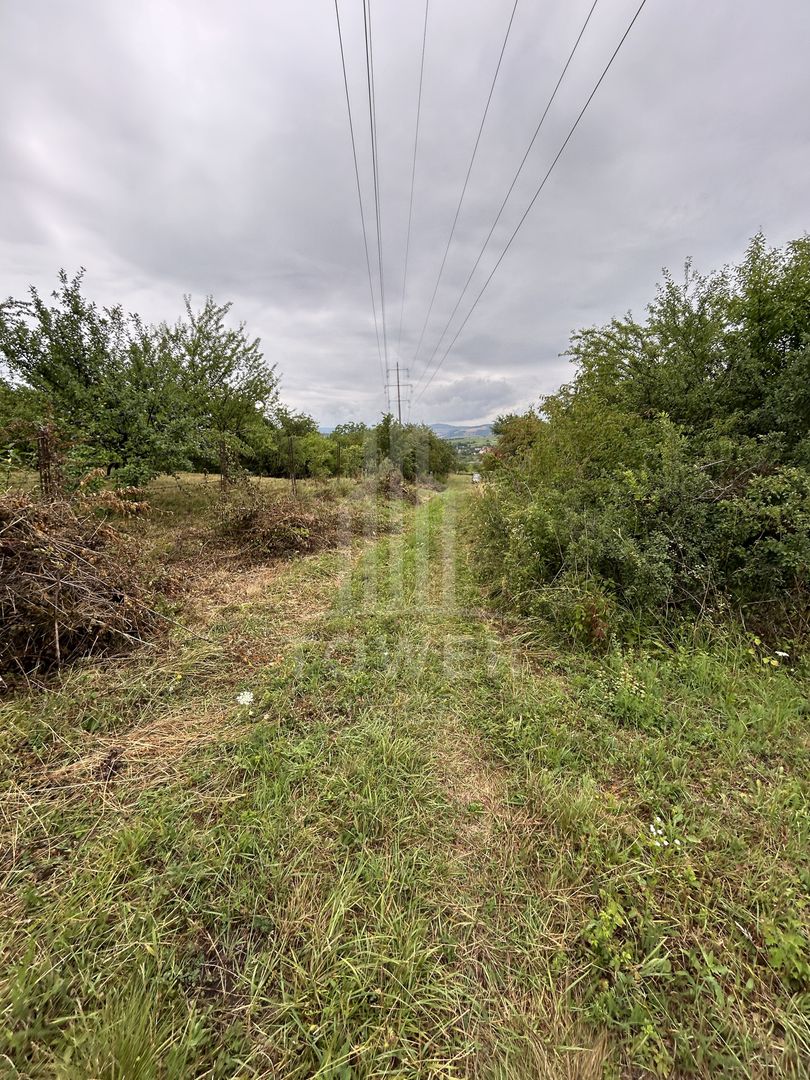 Teren intravilan de vânzare în Daia Nouă – 1.000 mp - Poză 2