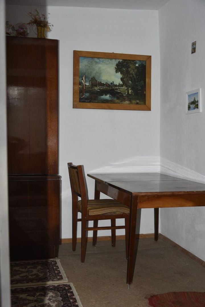 CASĂ TRADIȚIONALĂ CU GRĂDINĂ GENEROASĂ ȘI VIE – ISACCEA, JUD. TULCEA - Poză 7