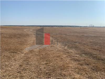 Vanzare  Teren  Pipera  2500mp - Poză 3