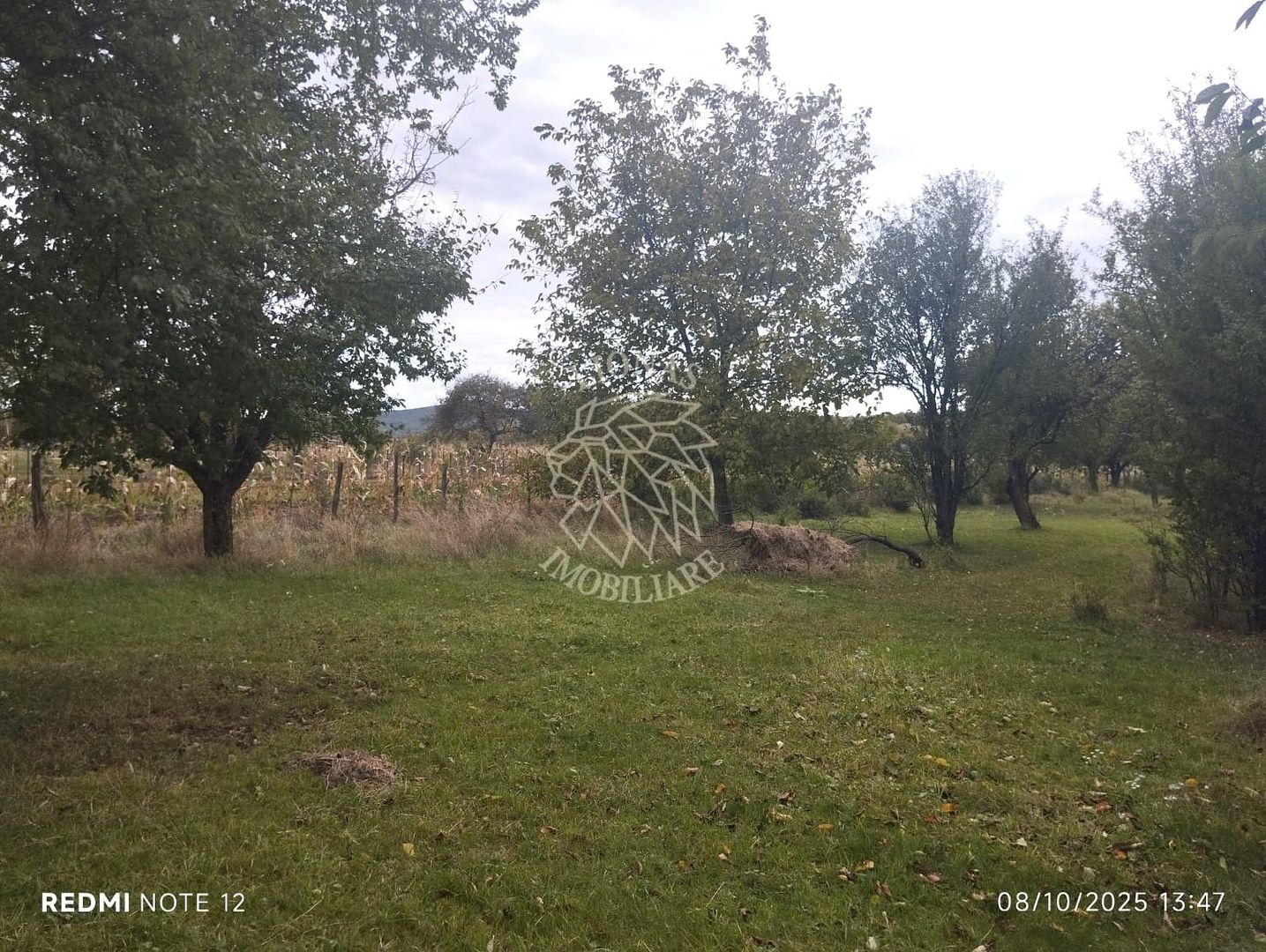 Teren intravilan 1500 mp-ideal casa-Mijlocenii Bargaului - Poză 2