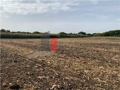 Vanzare Teren extravilan   Afumati  - Doraly - Poză 3