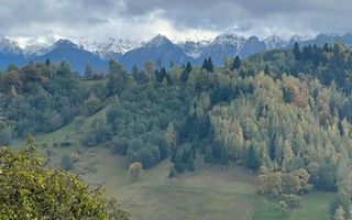 Teren extravilan cu priveliste catre Bucegi – Moieciu de Jos 4.700 mp - Poză 5