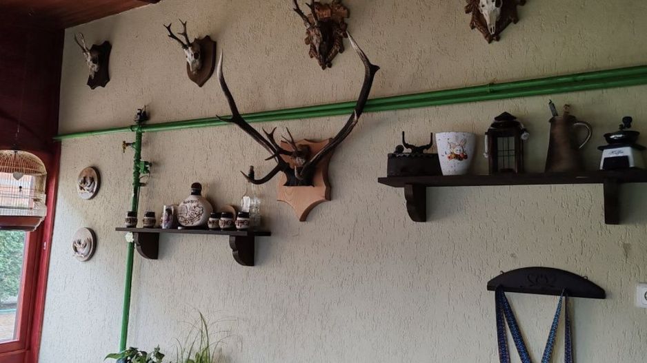 Casa in Paulesti - Poză 2