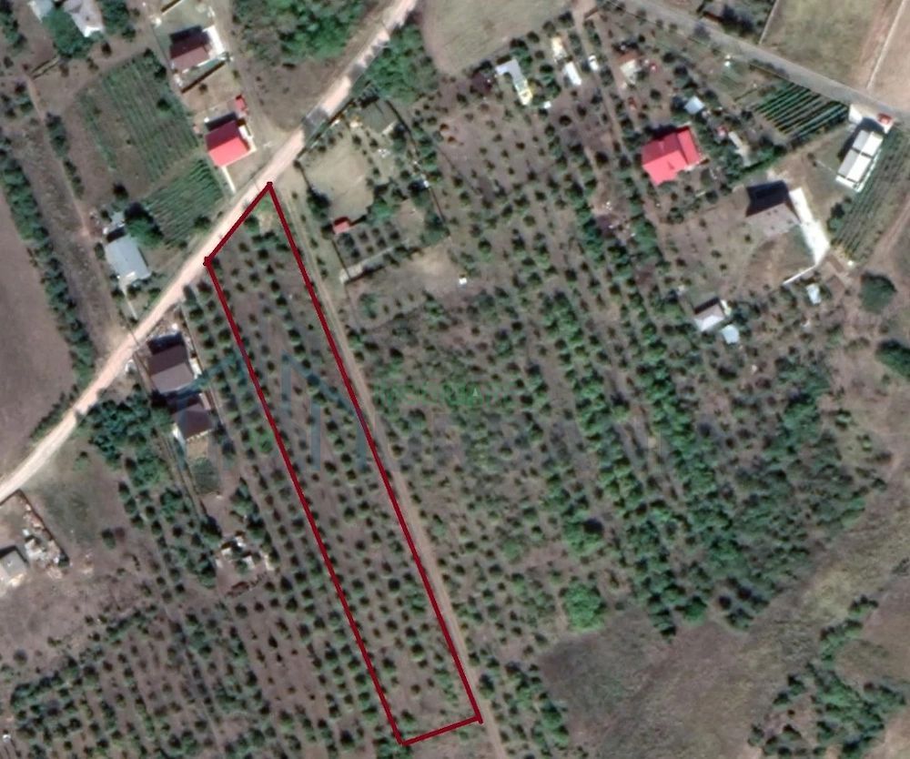 Teren intravilan 5.050 mp Tomesti Chicerea | P+2E | casa sau parcelare - Poză 5