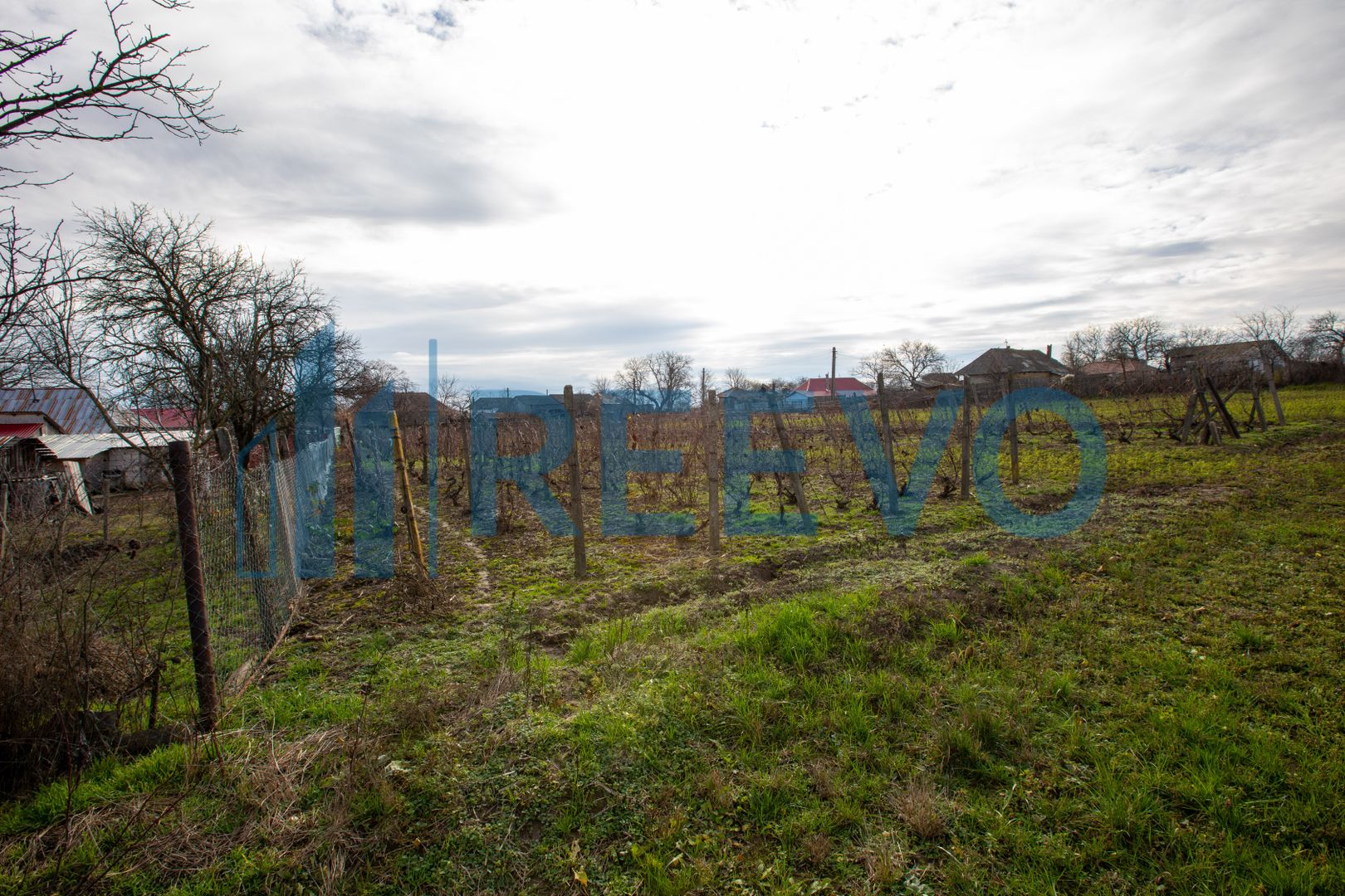 Casa si teren 3365mp Sascut - Poză 35