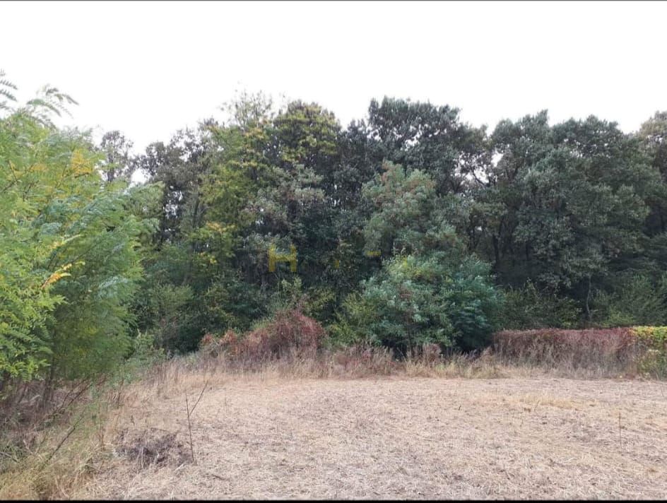 Teren Gruiu sat Lipia - Poză 3