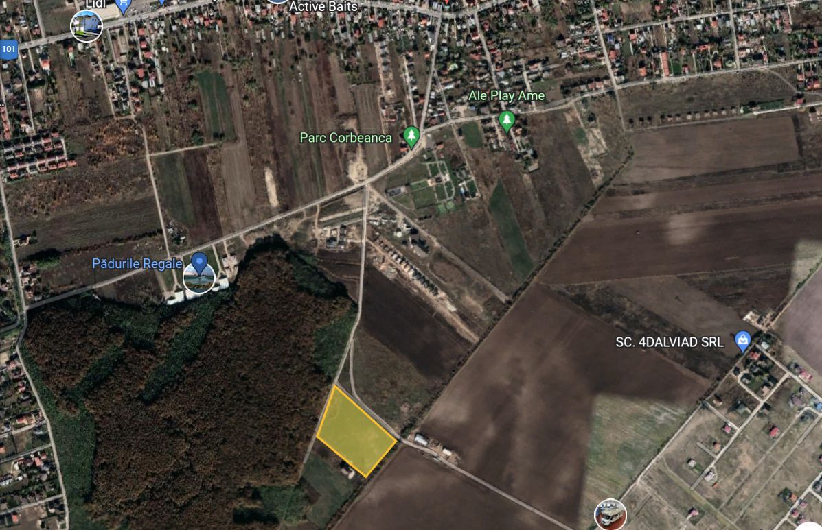 Teren deosebit - 2ha | Deschidere 135 ml la Padure | Padurile Regale - Poză 1