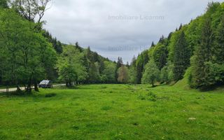13005 mp teren faneata in Bran Simon cu fornt de 57 mp - Poză 7