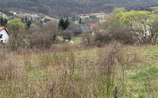 Tern intravilan Str.Podgoriei-Valea Ghinzi - Poză 4