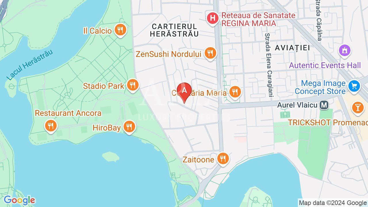 STUNNING VILLA HERASTRAU PARK - Poză 16