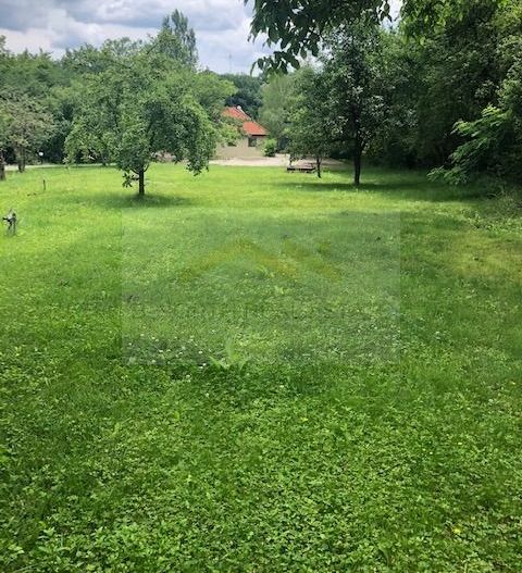 Reședință exclusivistă cu deschidere la Lacul Scroviștea - Poză 25