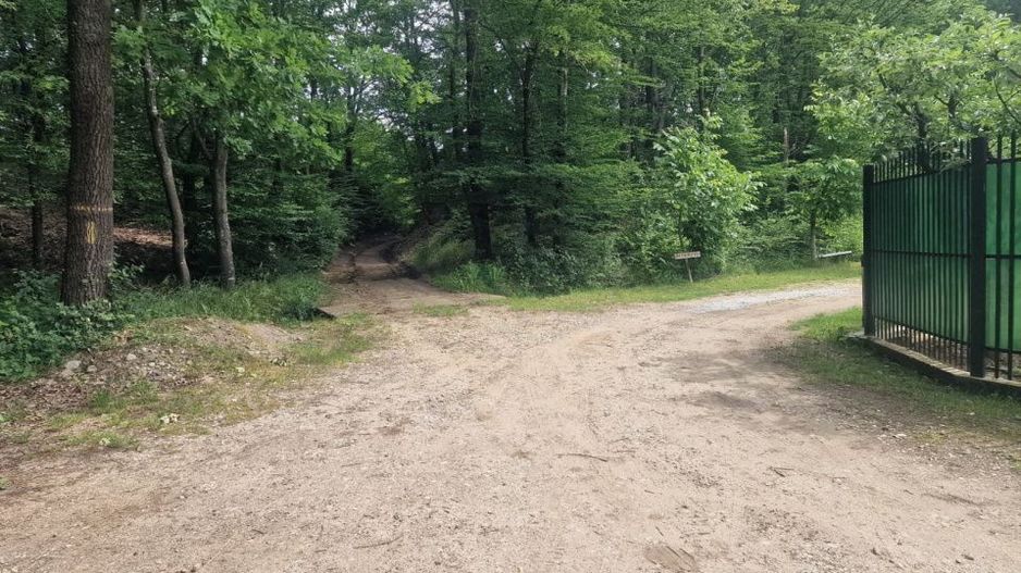 Teren extravilan Pitesti - str. Balotesi!! - Poză 3