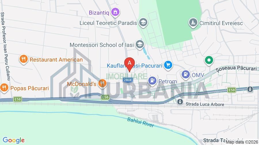 Apartament 1 camera Kaufland Pacurari - Poză 6