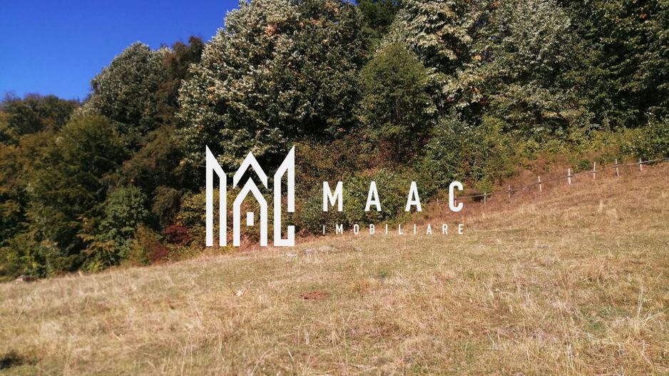 Teren Extravilan 20.000Mp I Stoenești -Vâlcea I Apă Curentă și Pădure - Poză 14