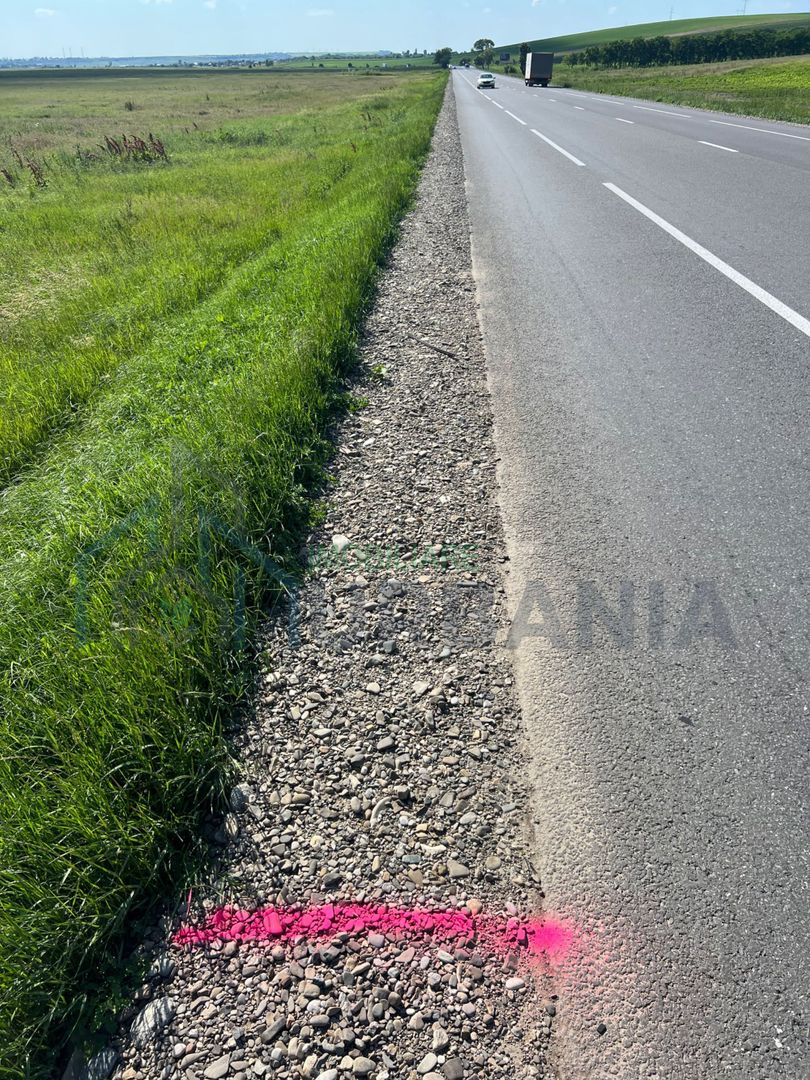 Teren extravilan de 29.300 mp, deschidere 41 m la E58, pe directia Iasi, intre Podul Iloaei si Letcani - Poză 5