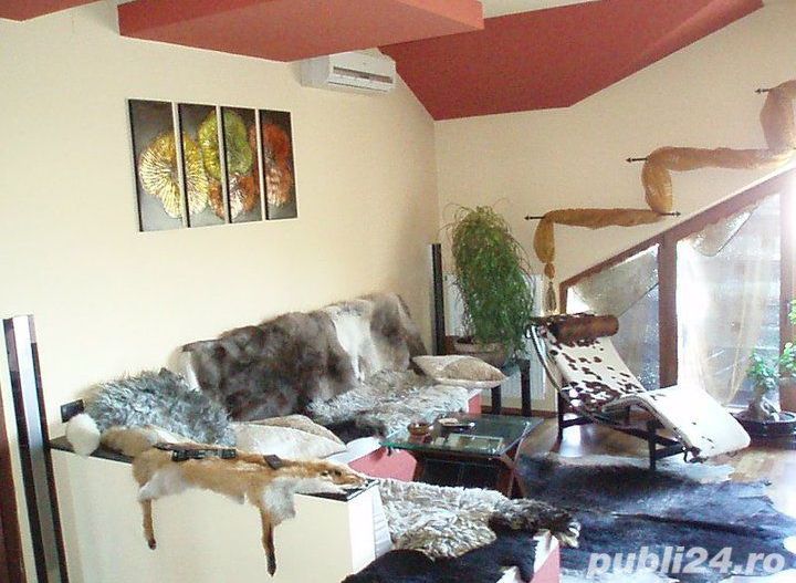 Ap. 3 camere pe 3 nivele - Poză 3