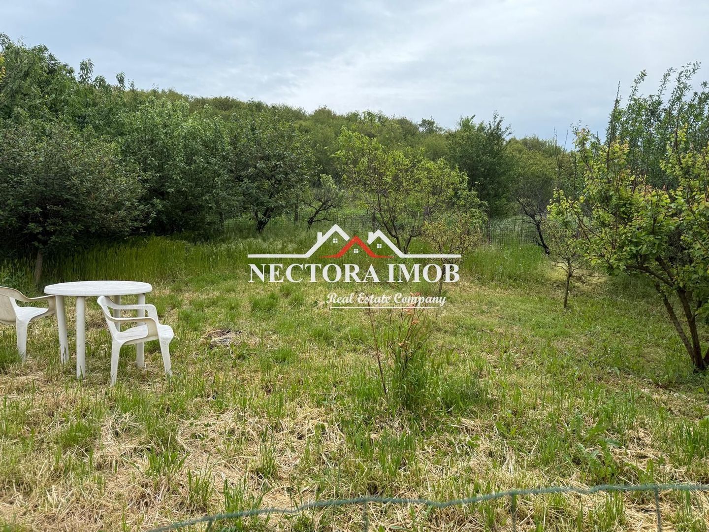 NECTORA IMOB-Casa 2 camere,Zona Gheorghe Doja, Teren 436 mp,utilat NOU - Poză 12