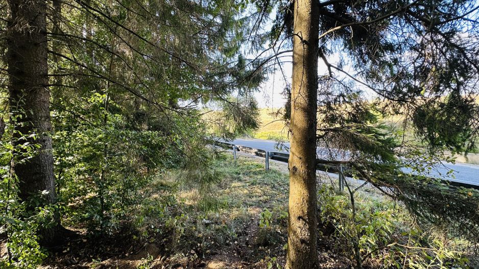 Un teren de vis cu deschidere la Lacul Trei Ape, Brebu Nou | Com 0% - Poză 5