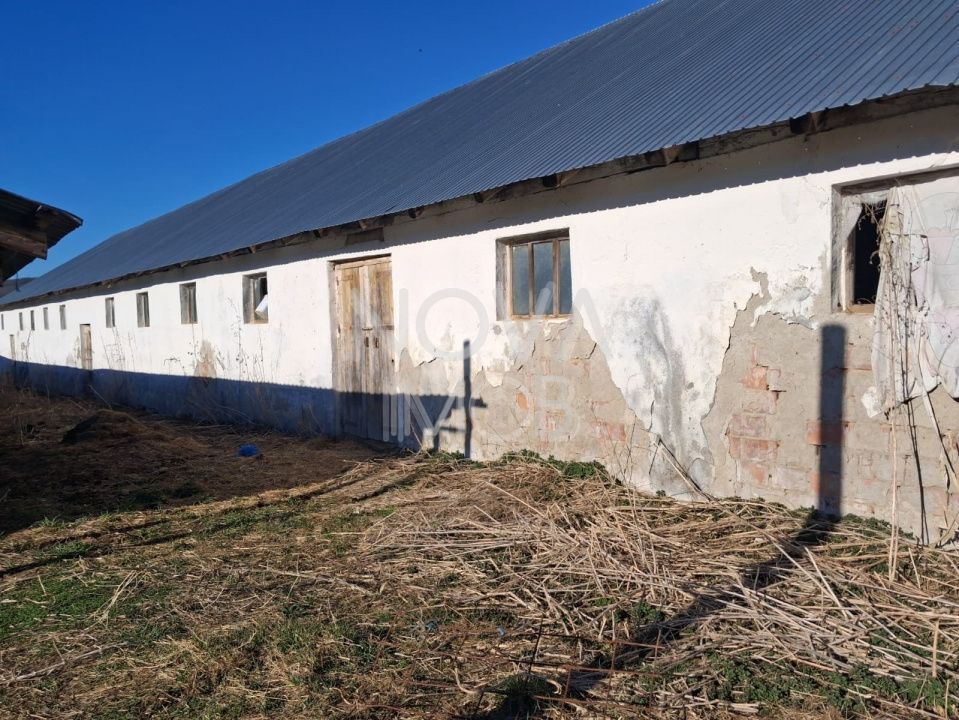 Ferma complet echipata de vanzare – zona Agnita, judetul Sibiu - Poză 8